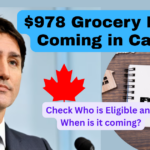 $978 Grocery Rebate Coming in Canada
