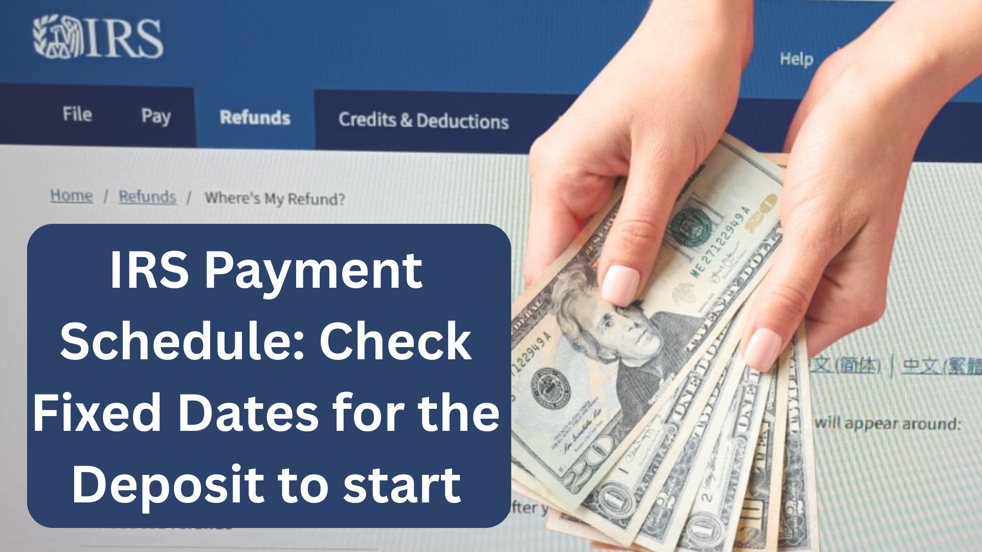 IRS Payment Schedule Check Fixed Dates for the Deposit to star